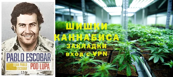 прущие крисы Армянск