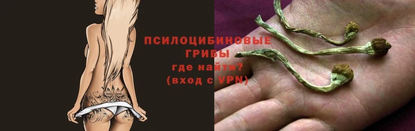 ECSTASY Алзамай