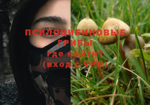 дживик Аркадак