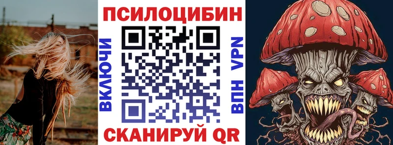 где найти наркотики  Аша  Псилоцибиновые грибы мухоморы 