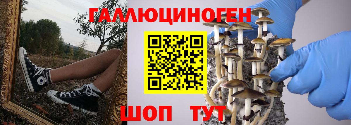 Галлюциногенные грибы ЛСД Аша